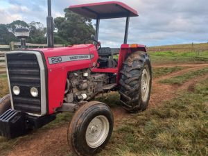 1993 Massey Ferguson 290 4x2