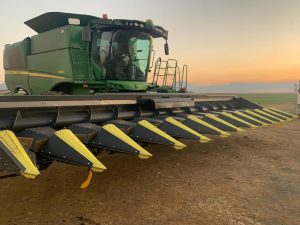 Drago Harvester Head
