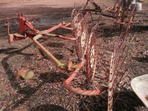 Vicon Wheel Rake