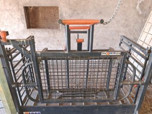 Algar Sheep Clamp and Tilt