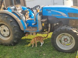 2014 Landini Rex 75F 4x4