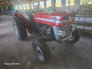 Massey Ferguson 135 4x2